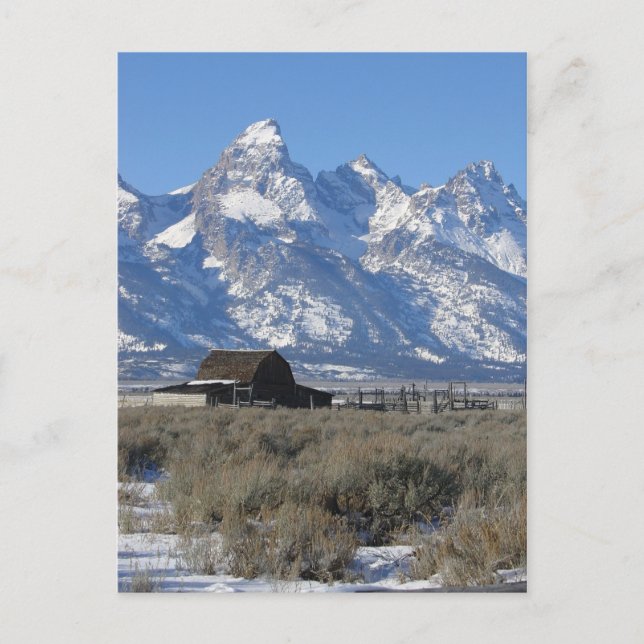 Carte postale Teton Ranch (Devant)