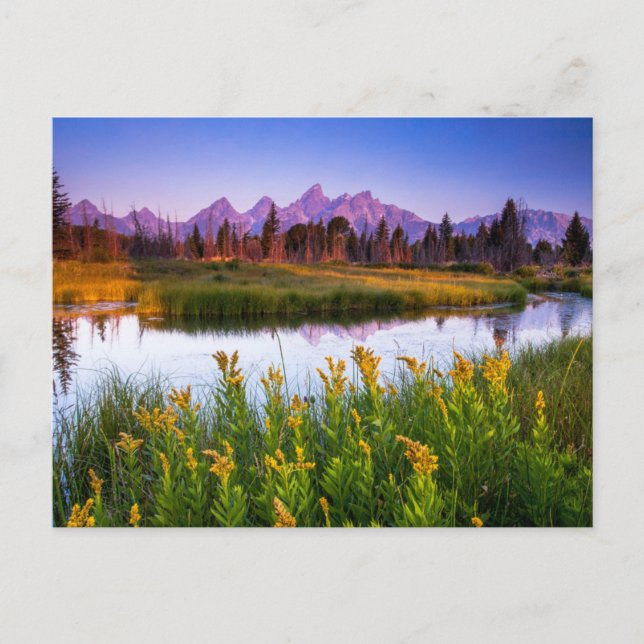 Carte Postale Teton Sunrise (Devant)