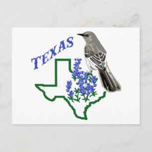 Carte Postale Texas