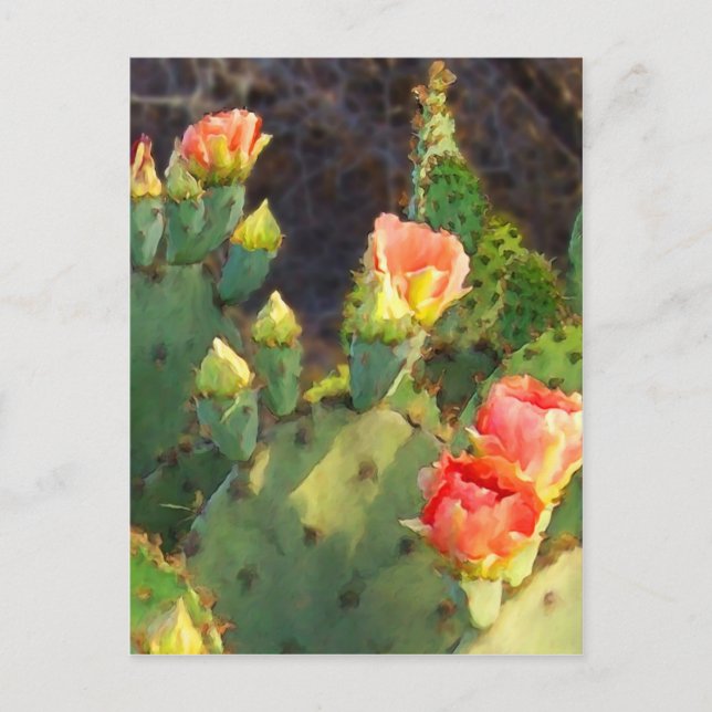 Carte Postale Texas Cactus 2 (Devant)