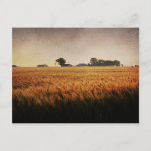 Carte postale Texas Farm