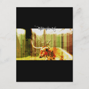 Carte Postale Texas Long Horn