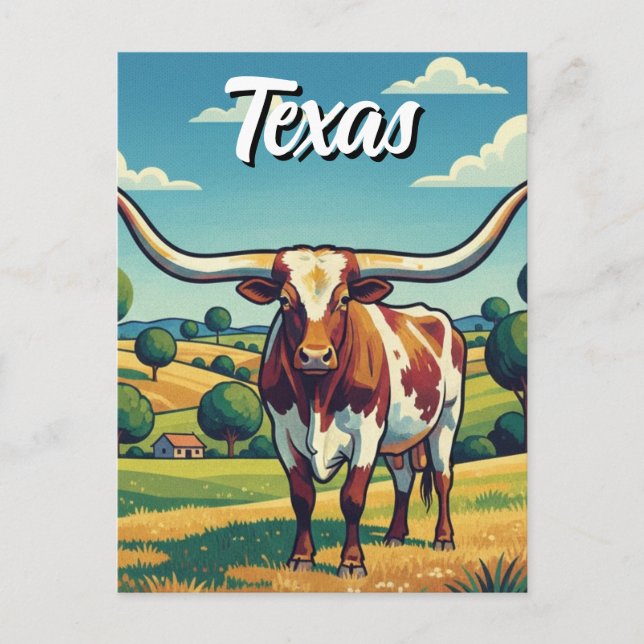 Carte Postale Texas longhorn (Devant)