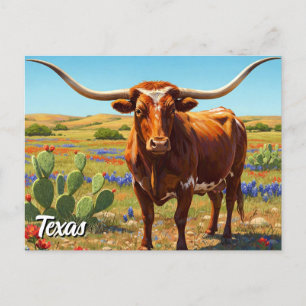 Carte Postale Texas longhorn