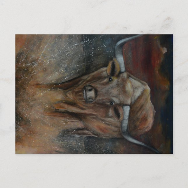 Carte Postale Texas Longhorn Bull (Devant)