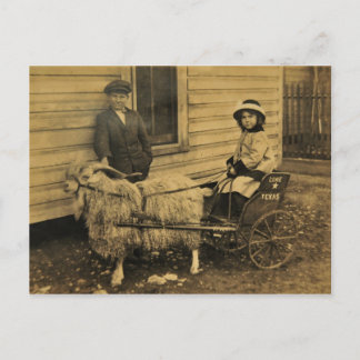 Carte Postale Texas Ride