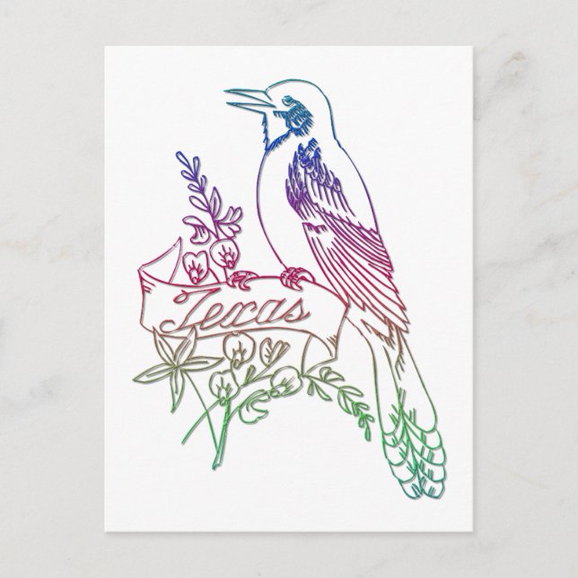 Carte Postale Texas State Bird - Le Mockingbird (Devant)