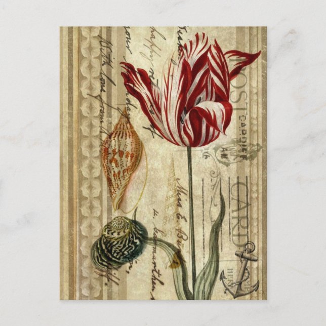 Carte Postale texte de pays français botanique tulipe de printem (Devant)