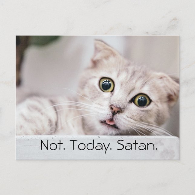 Carte Postale Texte drôle de chat (Devant)