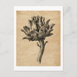 Carte Postale Texture de papier vintage Artichaut par Jean Berna
