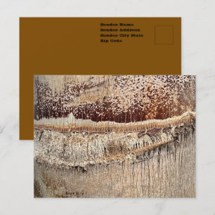 Carte Postale Texture de tronc de palmier dattier en gros plan