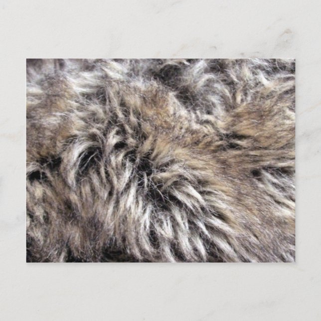Carte Postale Texture fausse fourrure (Devant)