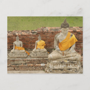 Carte Postale Thaïlande, Ayutthaya. Statues de bouddhas assis