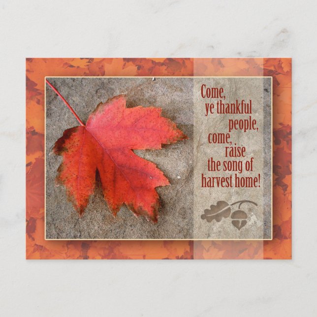 Carte postale Thanksgiving (Devant)