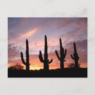 Carte Postale "The Arizona Show"