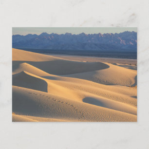 Carte Postale "the dessun" "sand dunes" "sand color"