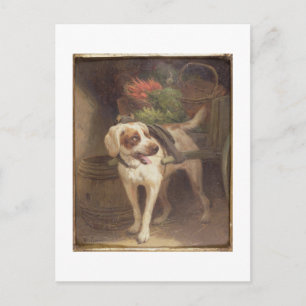 Carte Postale The Grocer's Dog