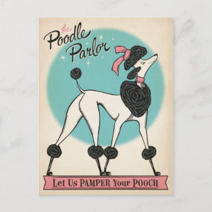 Carte Postale The Poodle Parlor