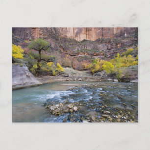 Carte Postale The Virgin River in autumn in Zion National Park