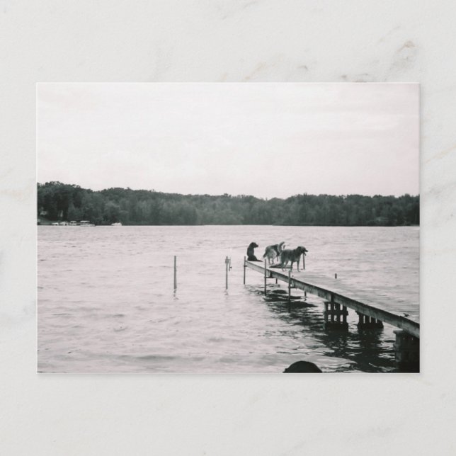 Carte Postale Thelma sur le quai (Devant)