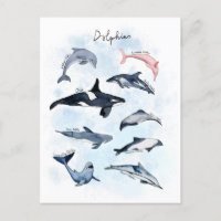 Thème de fête dauphin dessin aquarelle enfants 