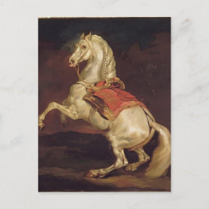 Carte Postale Theodore Gericault : Stallion de Napoléon, Tamerla