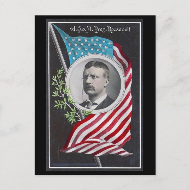 Carte Postale Theodore Roosevelt (Devant)