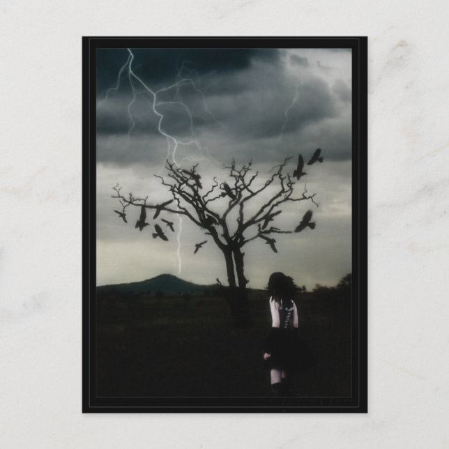 Carte Postale Théorie du chaos (Devant)