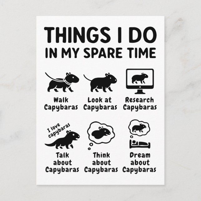 Carte Postale Things I Do In My Spare Time Capybara Funny Pet (Devant)