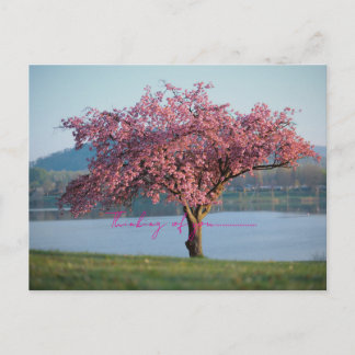 Carte Postale thinking of you nature 