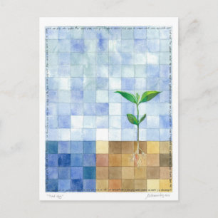 Carte Postale Third Day (7 days of creation) Postcard