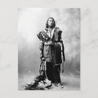 Carte Postale Thomas American Horse