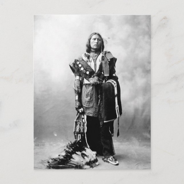 Carte Postale Thomas American Horse (Devant)