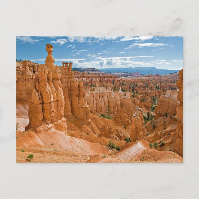 Carte Postale Thor's Hammer formation Bryce Canyon National Park (Devant)