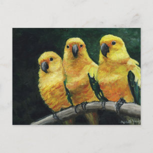 Carte postale "Three Sun Conures" Bird Art