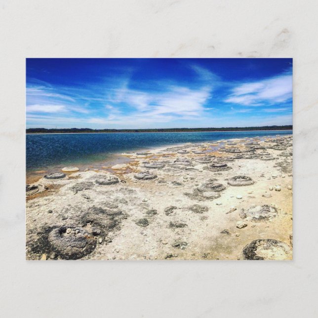 Carte Postale Thrombolites, Lac Thetis Ouest Australie (Devant)