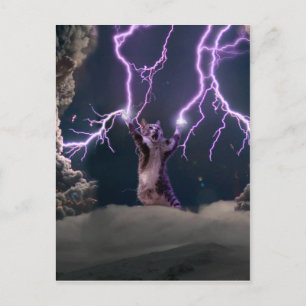 Carte Postale Thunderbolted cat
