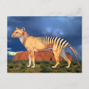 Carte Postale Thylacine (Tigre de Tasmanie)