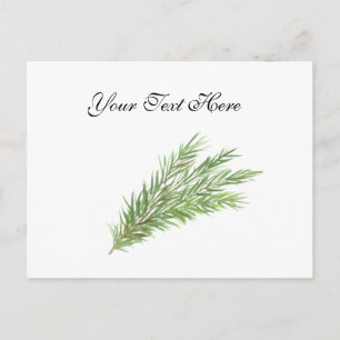 Carte Postale Thyme herbes botanique Verdure aquarelle Cuisine 