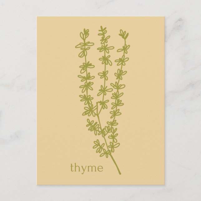 Carte Postale Thyme Merci pour votre entreprise Herbes (Devant)