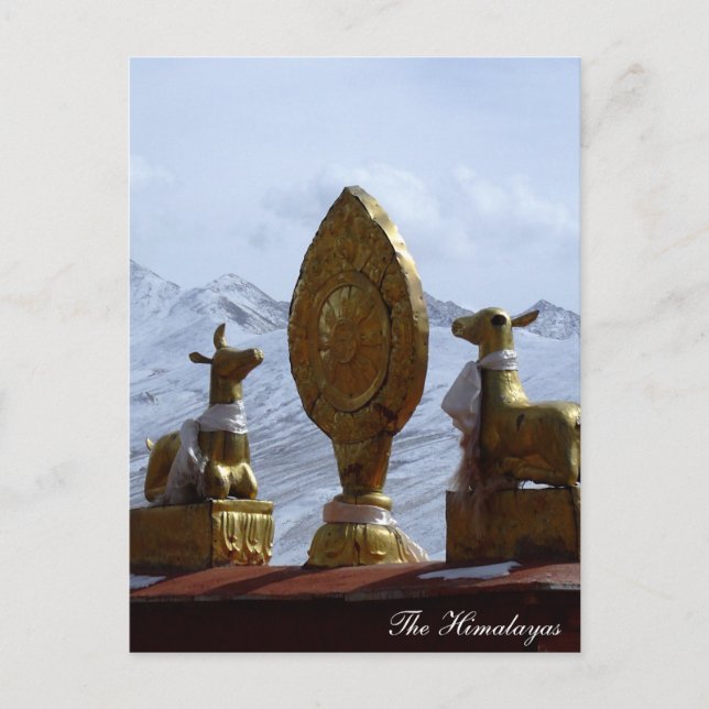 Carte Postale Tibet, Monastère de Ganden Cerfs tournant la roue  (Devant)