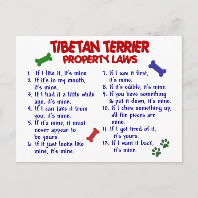 Carte Postale TIBÉTAN TERRIER, propriété Lois 2 (Devant)