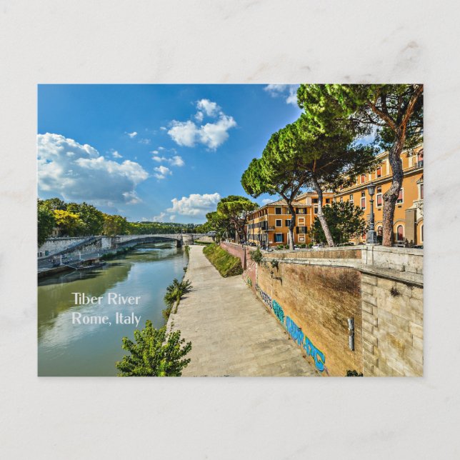 Carte Postale Tibre, Rome, Italie (Devant)