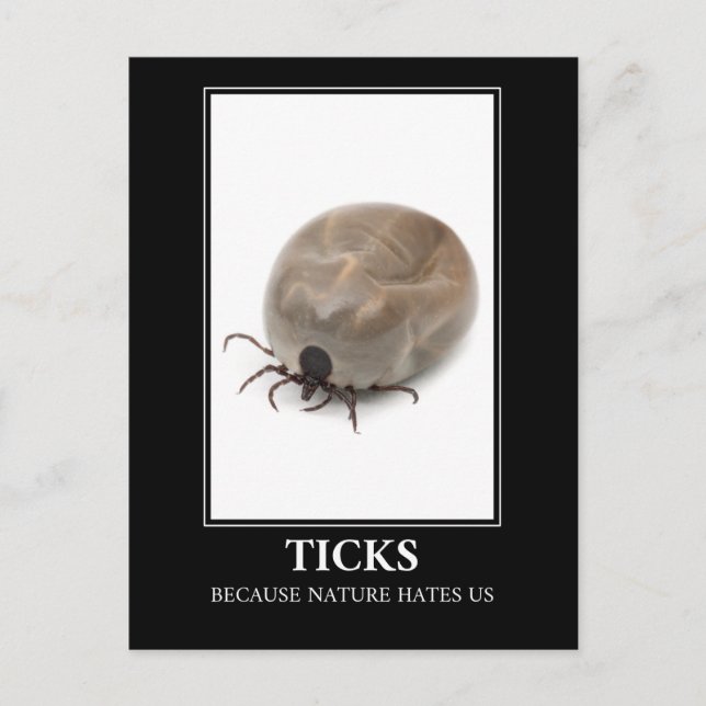 Carte Postale Ticks Parce Que La Nature Nous Hait - Parasite Fun (Devant)