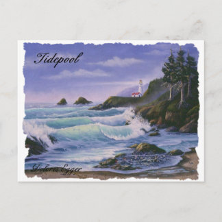 Carte postale Tidepool