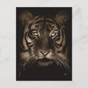 Carte postale Tiger