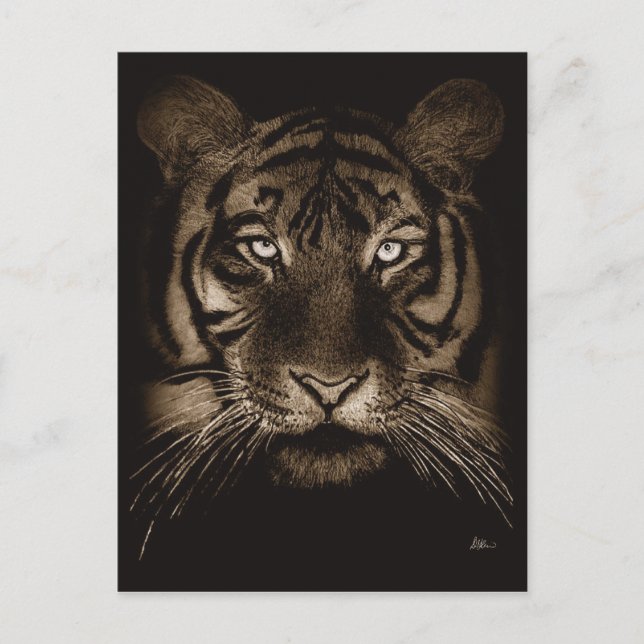 Carte postale Tiger (Devant)