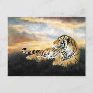 Carte Postale Tiger Dawn