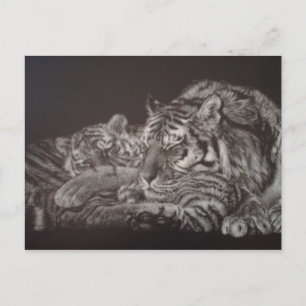 Carte postale Tiger et Cub