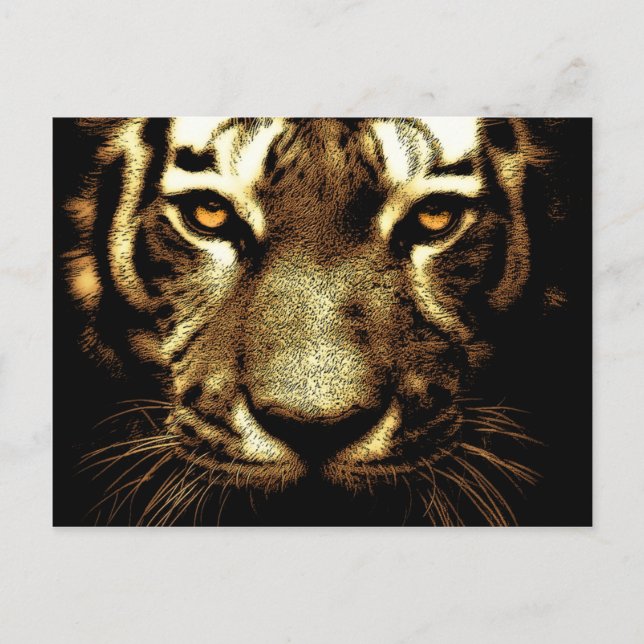 Carte postale Tiger Eyes (Devant)